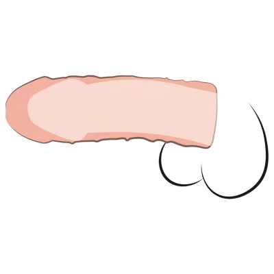 Pipedream - X-TENSION Perfect 1 - élethű péniszköpeny (17,7 cm, testszínű)